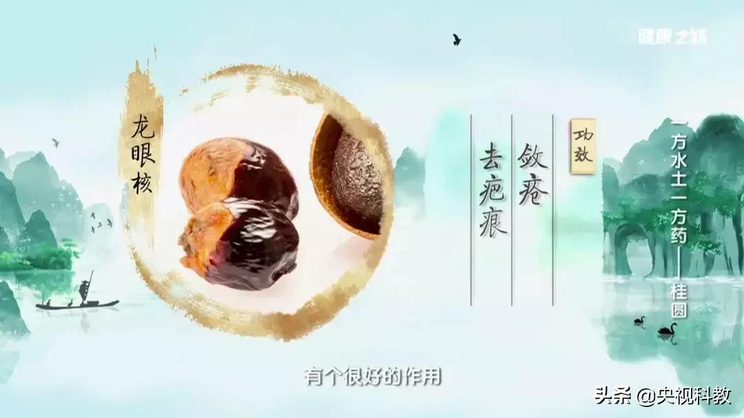 桂圆核能祛疤吗,桂圆人参蒸72小时可以补血吗