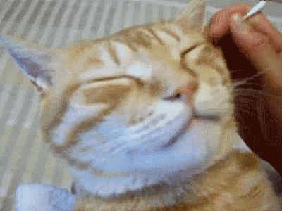 耳朵怎么掏呀,掏耳朵的正常掏法