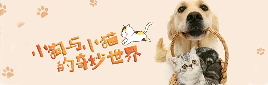 西瓜视频动物世界纪录片,动物园100种常见动物纪录片