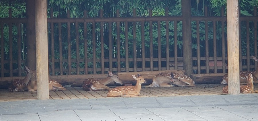 宅家云旅游遇见最美的自己 (宅家云旅游唯有爱与美食不可辜负)