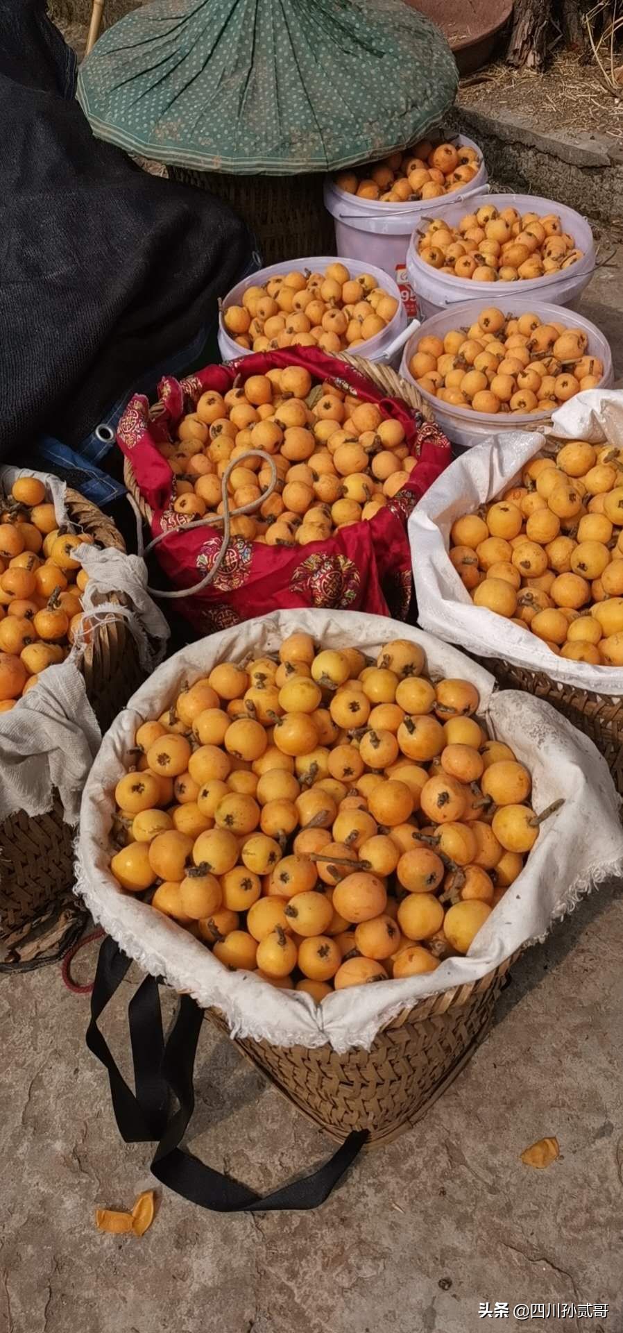 老村长农村电商,老村长农副产品直播间