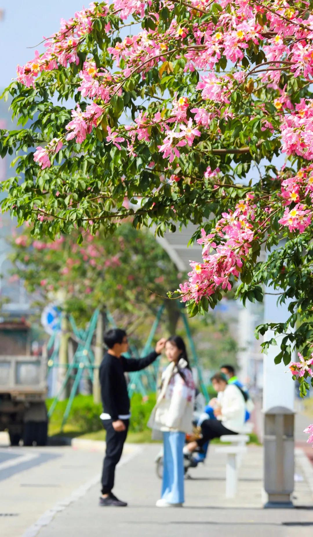 珠海买房过冬真实感受,在珠海买房十大秘诀