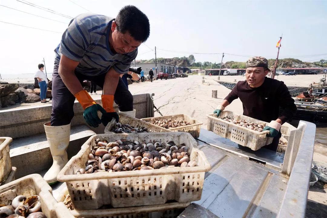 东港海鲜鱼仔店,东港海鲜批发市场