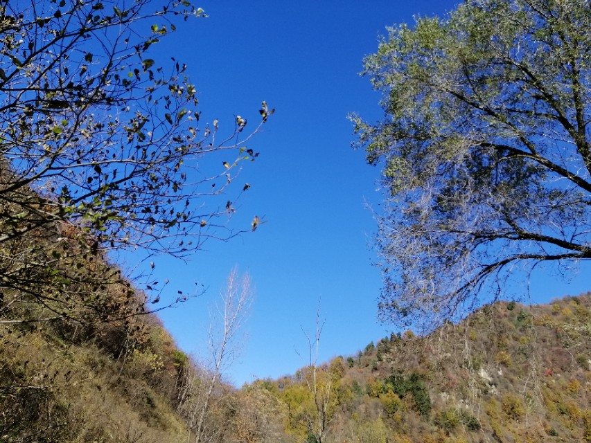 一只美丽的小蝴蝶,一只漂亮的小蝴蝶