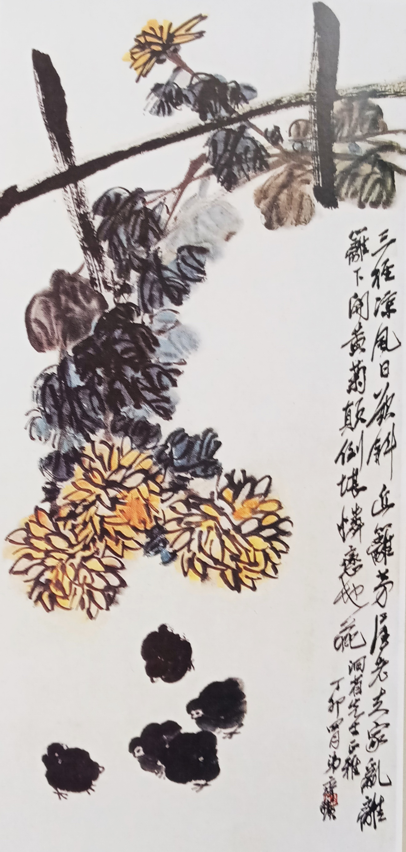 国画菊花初学者怎么画视频,圆形卡纸怎样画菊花国画