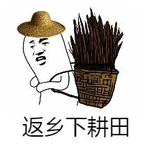 广东粤语什么意思啊,老广东才懂的粤语梗