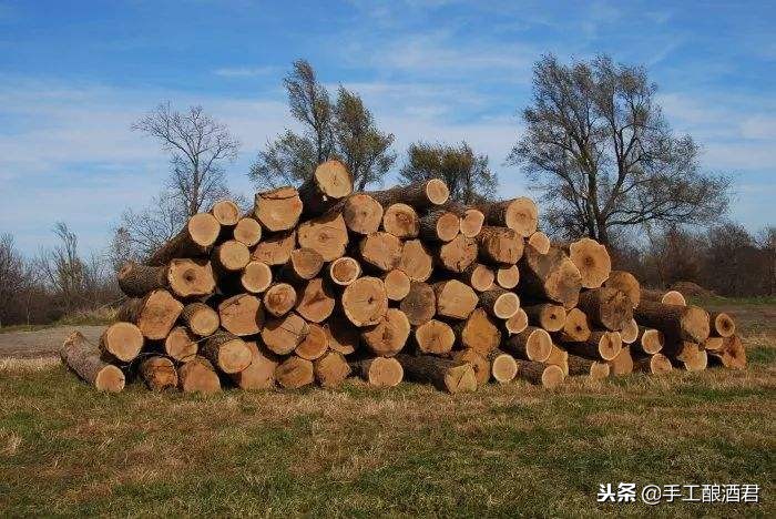 酒塞和橡木桶,木塞和橡木酒塞