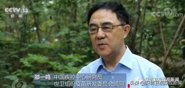 关键时刻！深圳与变异病毒“Alpha”赛跑的四条赛道｜锐视角