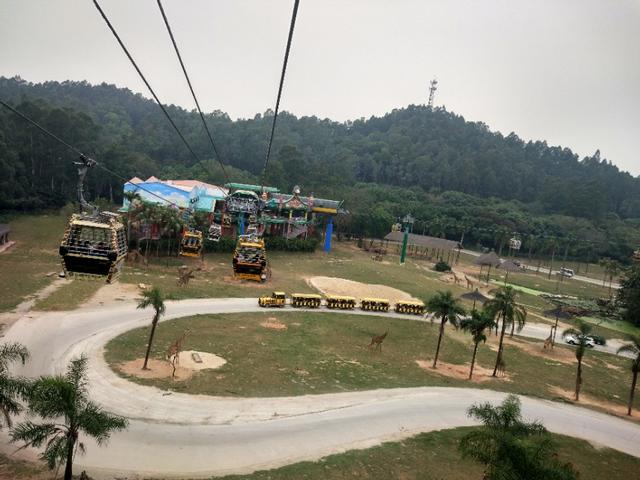 广州番禺区长隆野生动物世界缆车,广州旅游长隆野生动物世界
