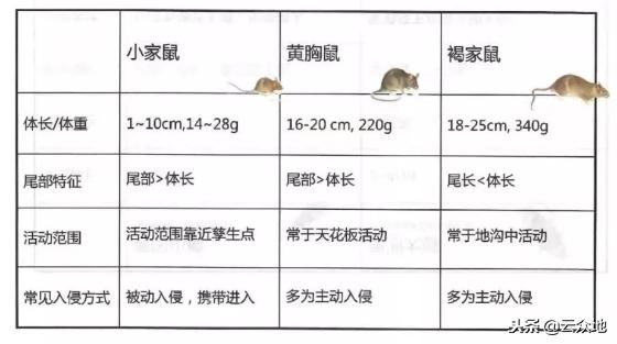 农作物鼠害,农作物鼠害控制方案