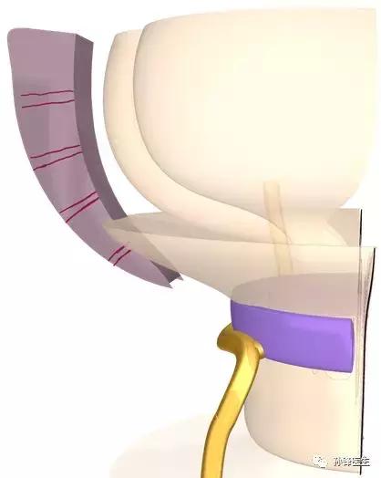 游学旅行新东方,游学打击乐