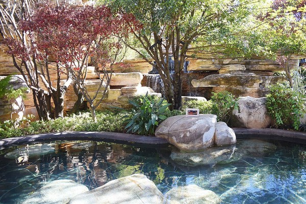 这个冬天特别冷没办法旅游,冬天这么冷的天还能出去玩吗