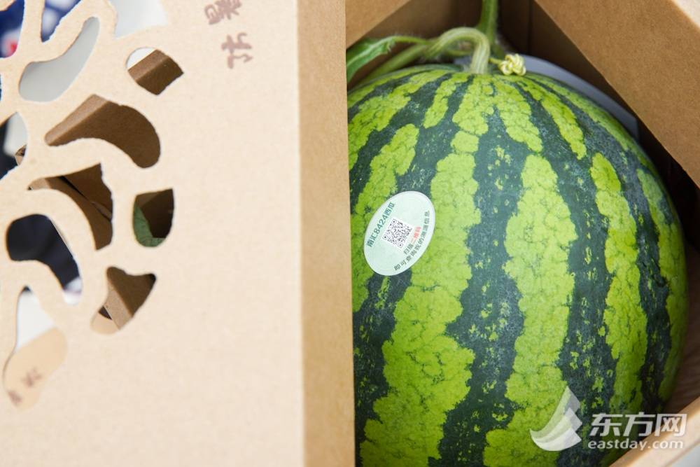 安徽8424西瓜产地批发多少钱一斤,今日西瓜价格最新行情8424