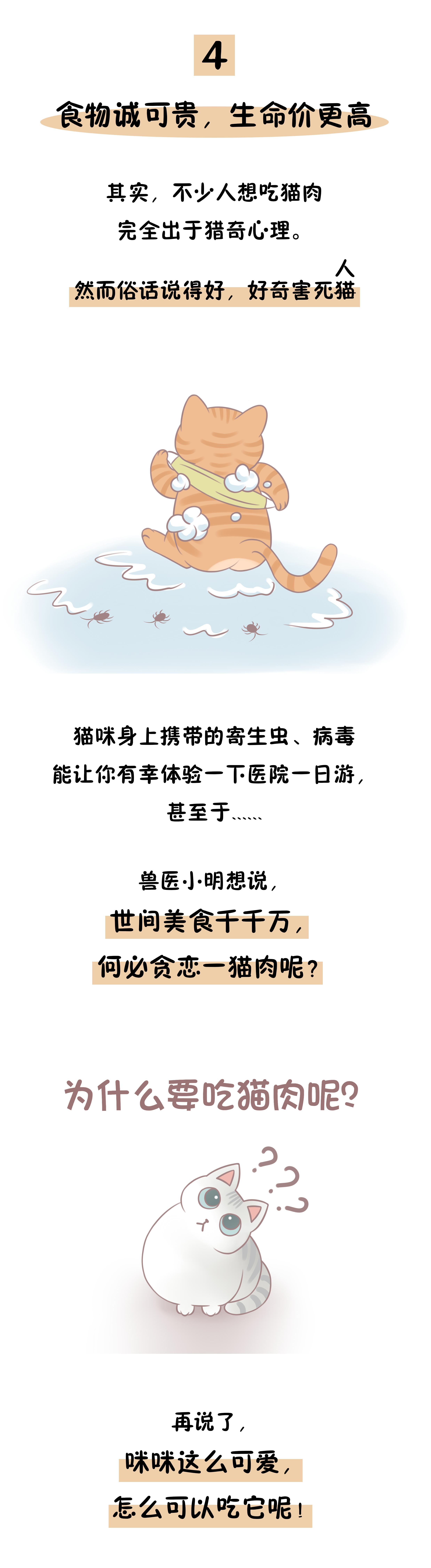 吃*肉猫**竟是国人的忌讳，仅仅是因为口感不好吗？可没那么简单