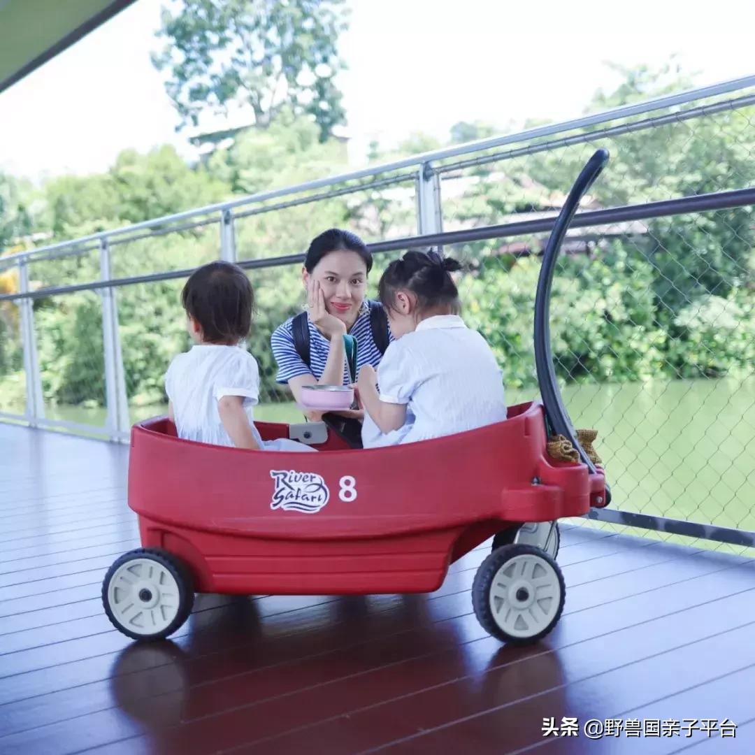 带孩子新加坡4天够玩吗,新加坡带孩子自由行几天