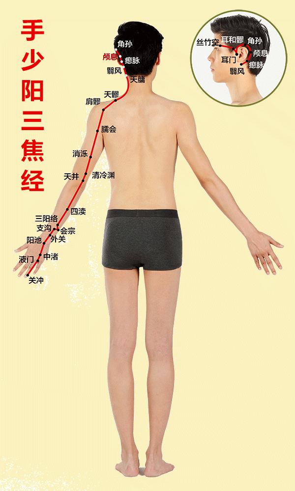 人体有十二条经络和三焦,人体有哪12条经络