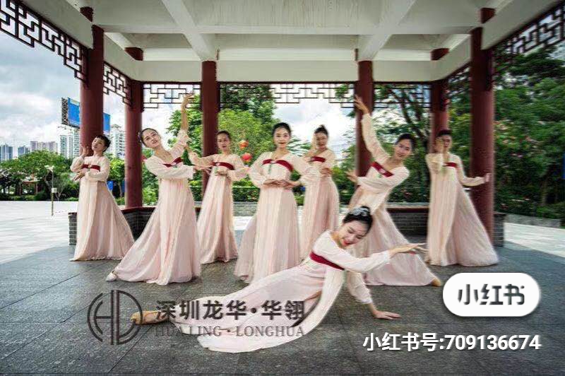 全日制专业舞蹈培训，零基础舞蹈教学