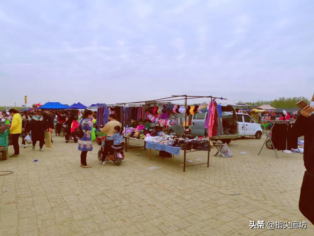 廊坊杨税务集市,在早市遇见久违的人间烟火气