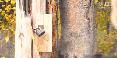 电影中一枪开锁真的靠谱吗,电影中的开锁是什么原理