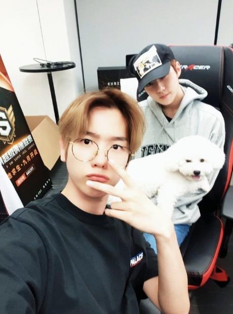 朴灿烈吴世勋关系分析,朴灿烈多芬吴世勋