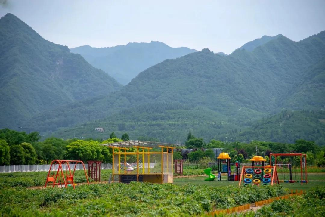 西安周边亲子农场,西安周边适合带孩子去农场的地方