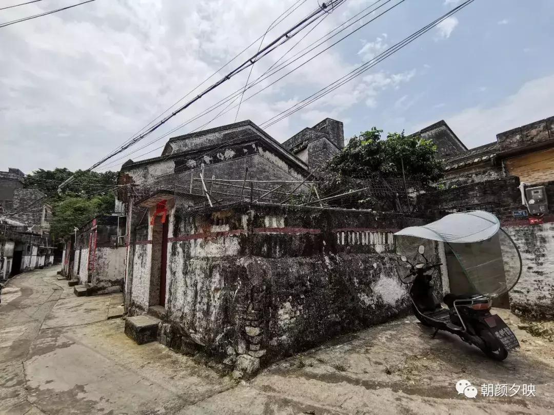 岐阳梧桐起凤环，鹭兮鹭兮寻不见（上）