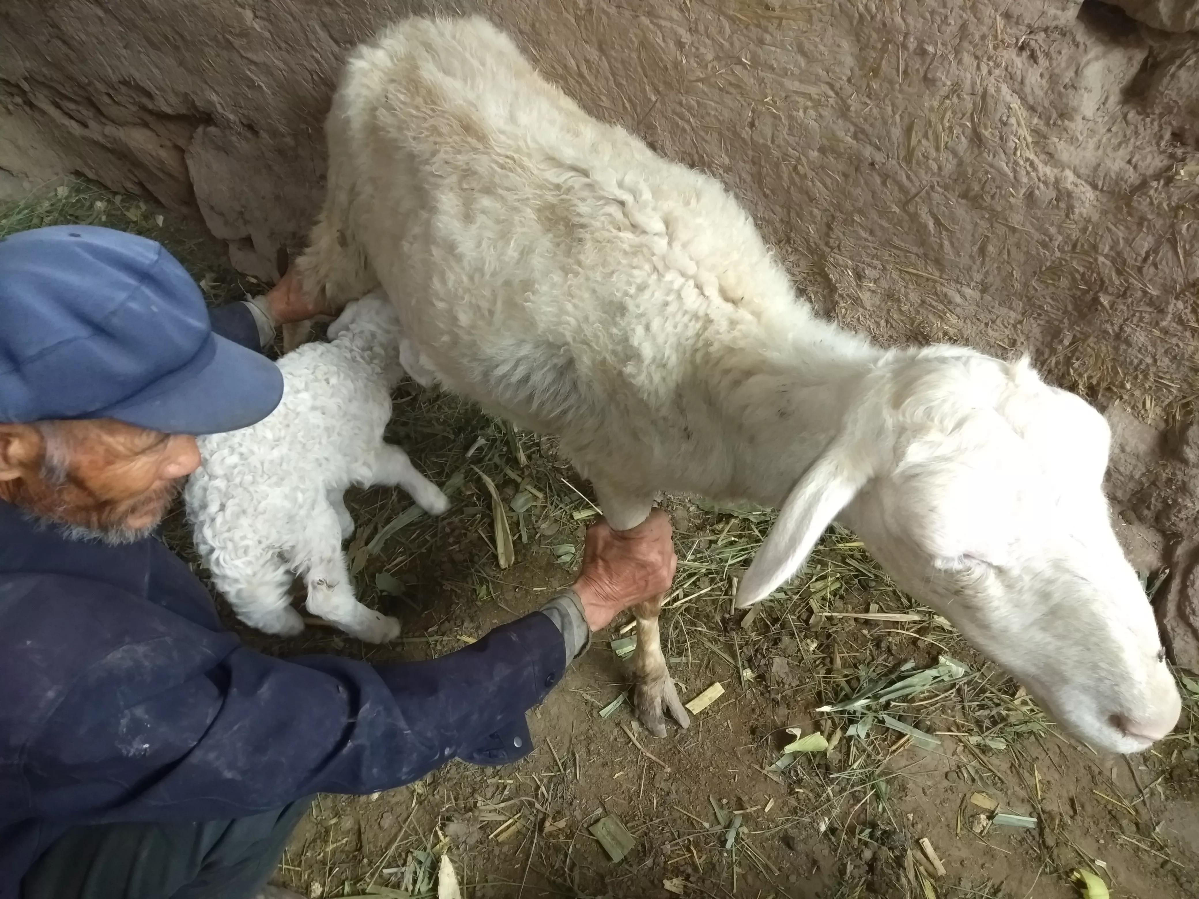 再谈赚钱和生活,再谈年收益