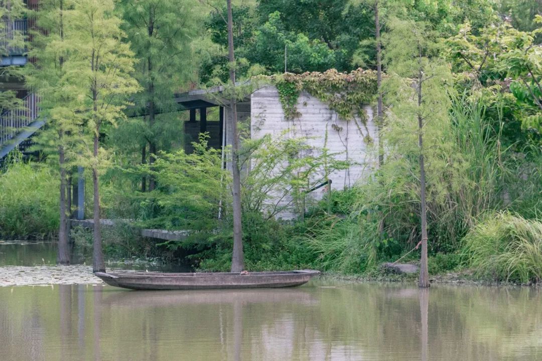 深圳风景最好的岛,深圳有个什么旅游岛