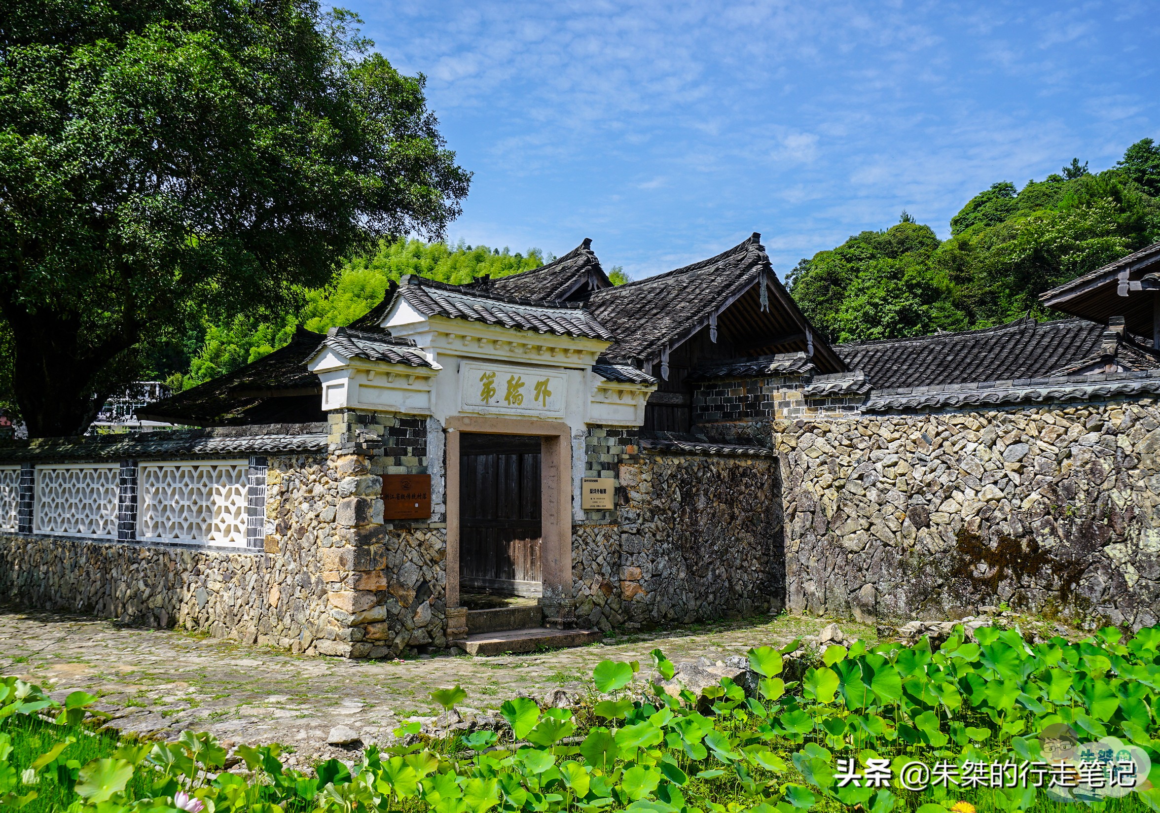 泰顺旅游攻略三日游推荐,泰顺六日游攻略