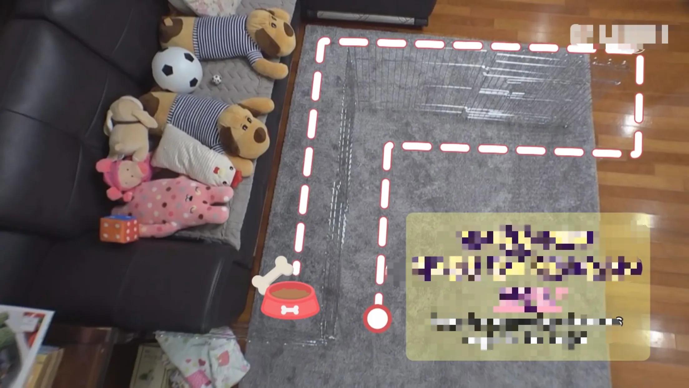 小猪的智商高达多少 (韩国最聪明的小猪)