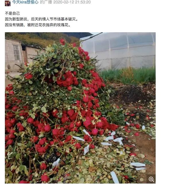 老板变成乞丐的视频,老板变成流浪汉视频