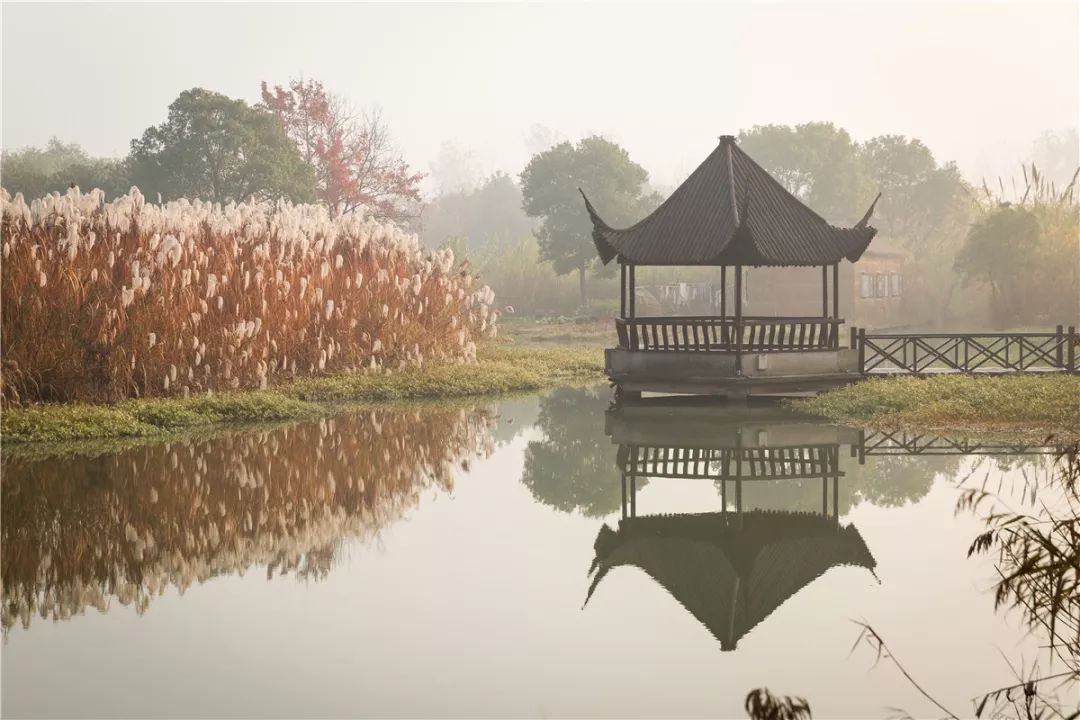 一入秋西安就美成长安,一入秋杭州就美成临安
