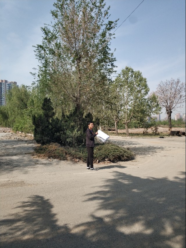 大连石灰石矿地块土拍,大连石灰石矿王健林还开发吗