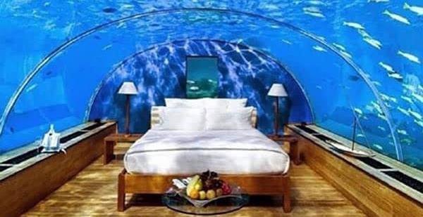 迪拜不大为什么有这么多石油,迪拜特产骆驼奶巧克力