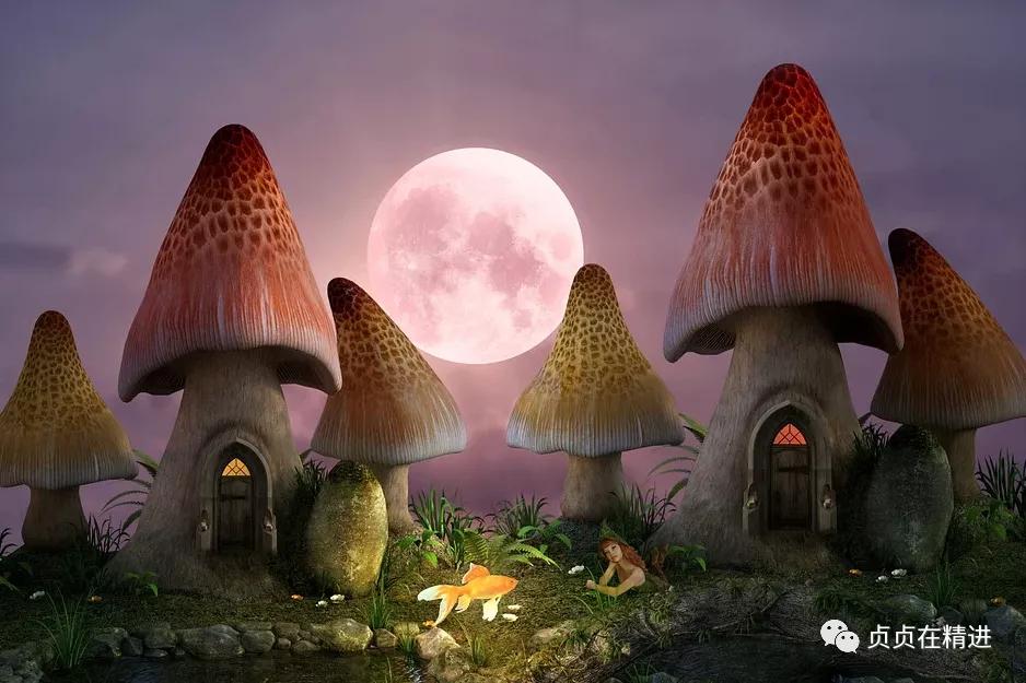 自学西班牙语歌词教学,自学西班牙语口语900句