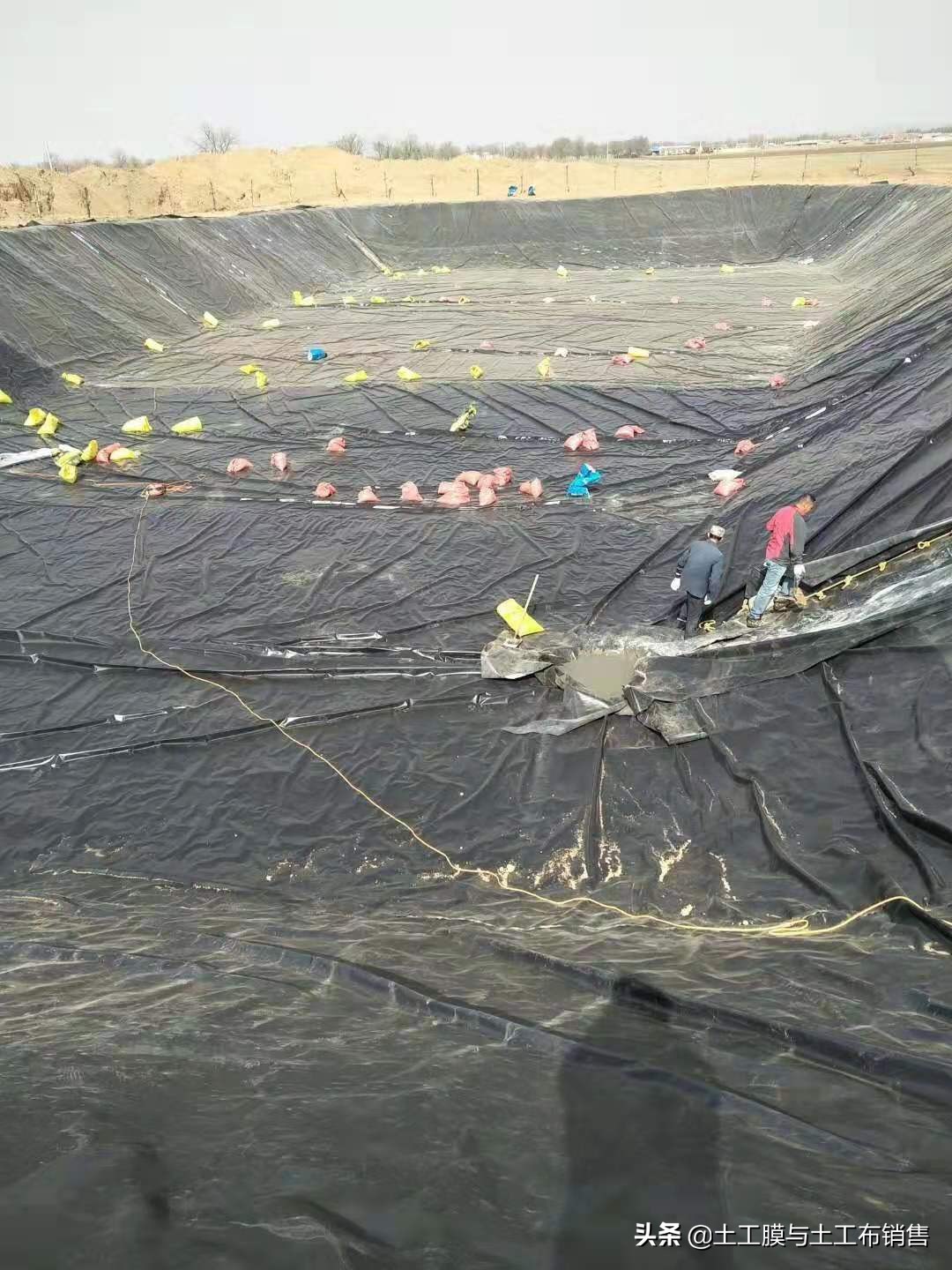 莲藕产业经济效益高的栽培模式-莲藕专用膜的投入与使用