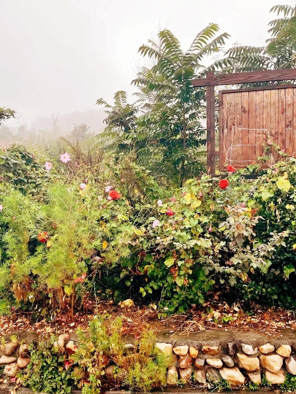 蓟州农家院哪家最好最好玩,蓟州农家院包院人均100元