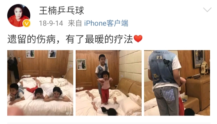 王楠个人简介,王楠巅峰时期的照片