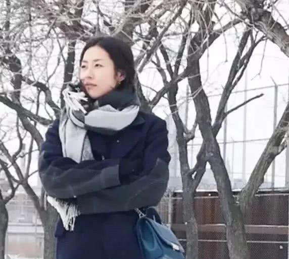 刘雯大包包推荐,刘雯同款豹纹包包