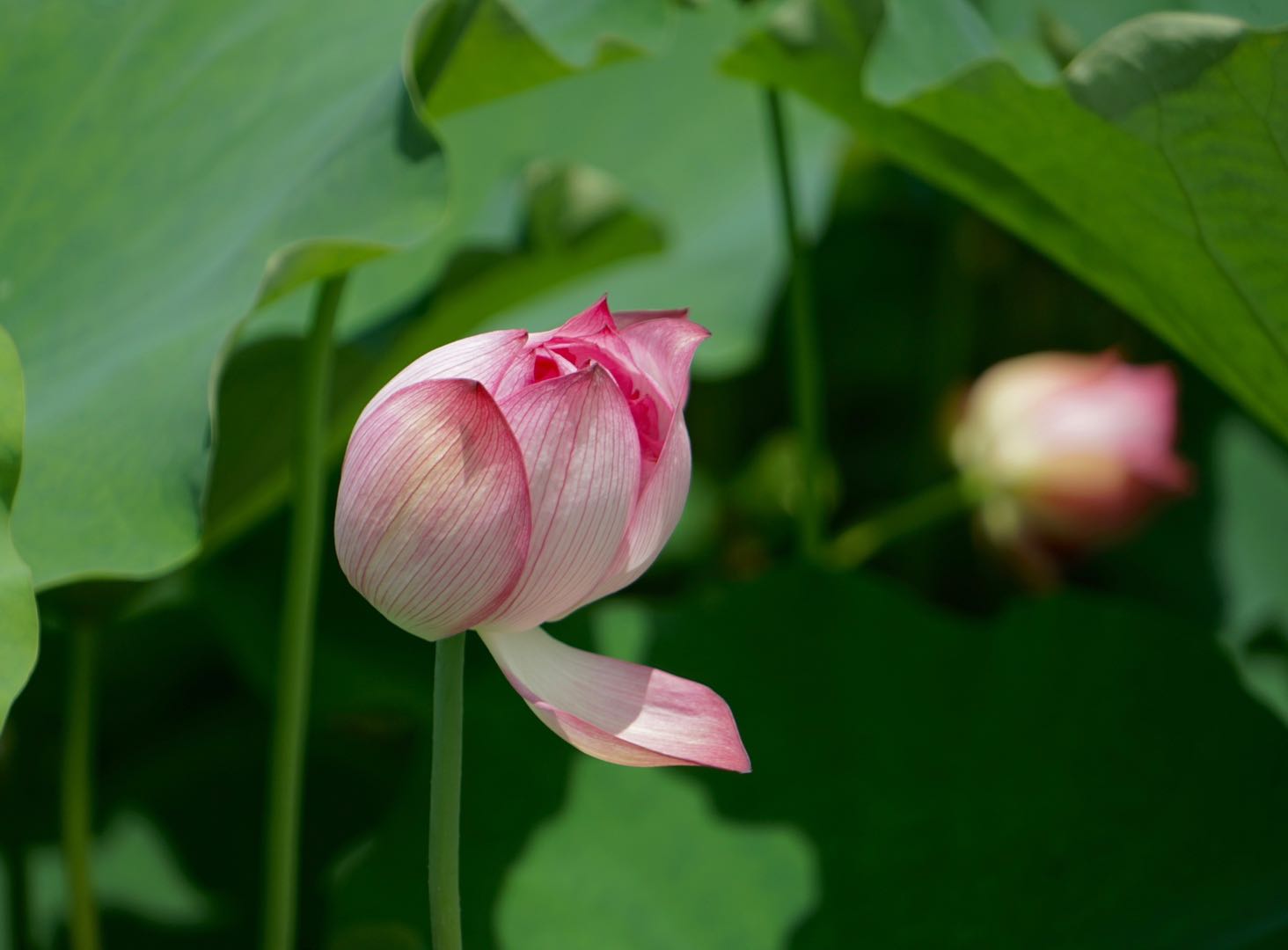 杭州的宝藏景点,杭州的宝藏地方
