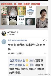 玉米后期病害有哪些,玉米芯腐烂是什么病怎样防治