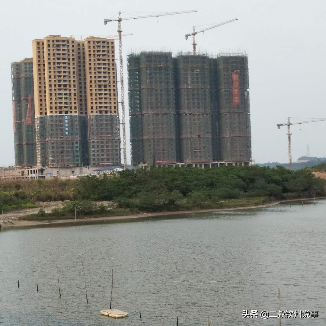 钦州港金鼓新城区规划图,钦州港片区发展前景