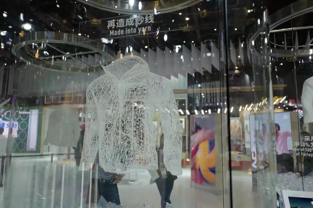 杨晨聊中国足球,杨晨谈国足