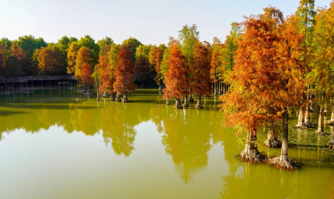 杭州适合拍照风景区,杭州最值得打卡的风景区