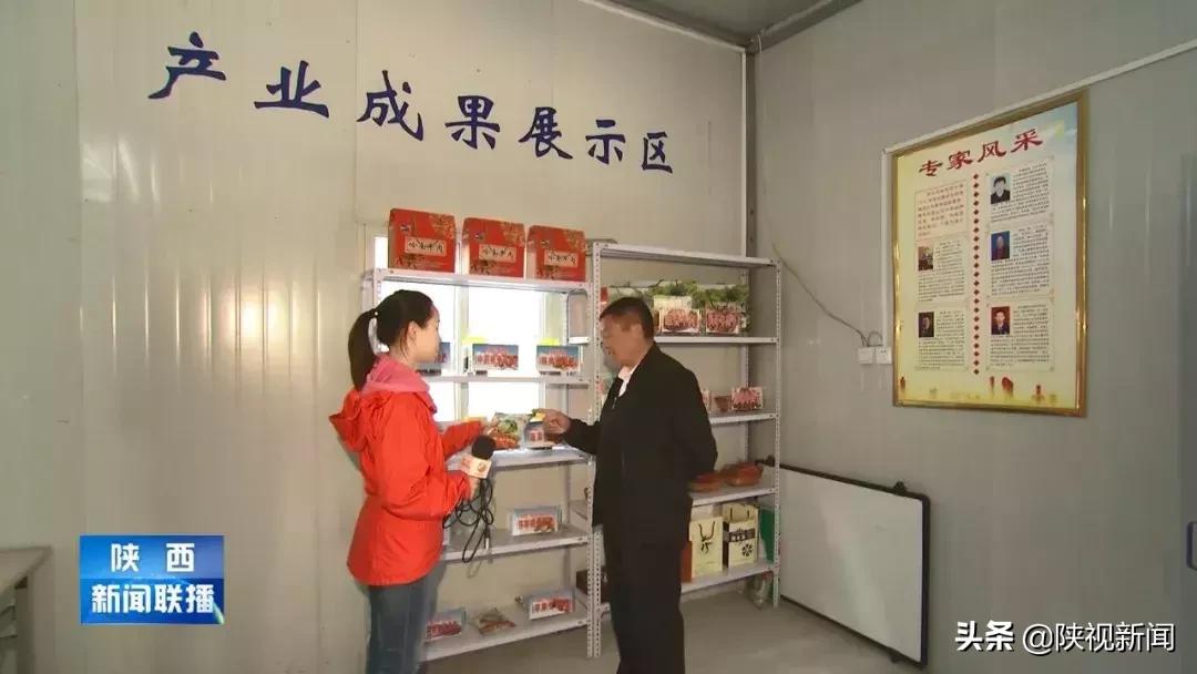 商洛山阳县这帮人对牛粪做了啥？竟比纯养牛多挣了10倍！