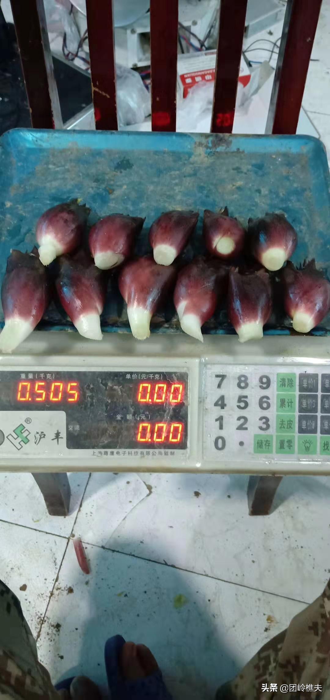 创业项目小项目,创业实用小项目