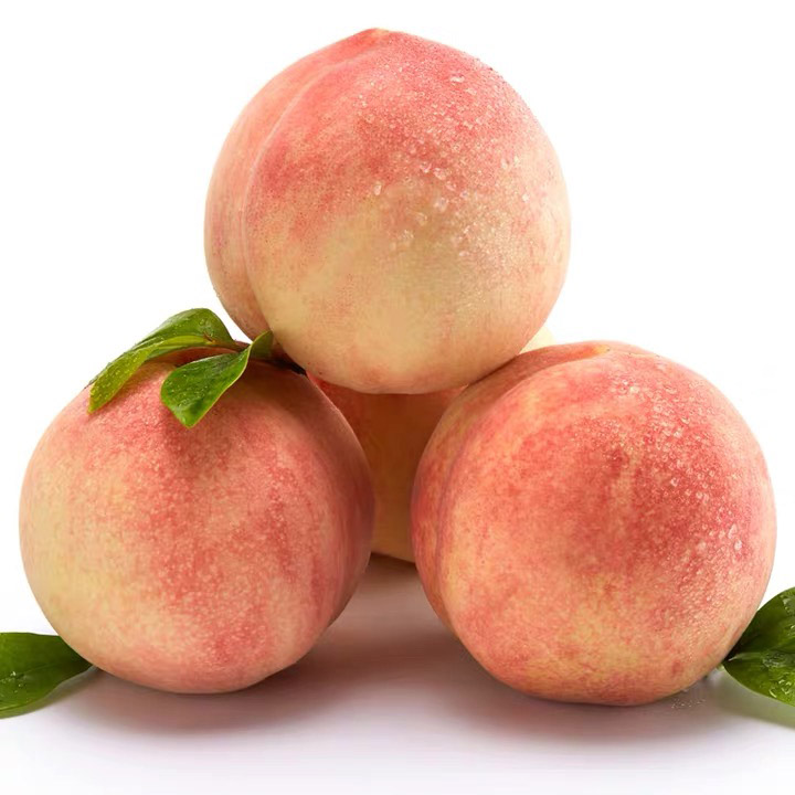 淘宝直通车省钱又有效的方法,淘宝直通车操作技巧有哪些方法