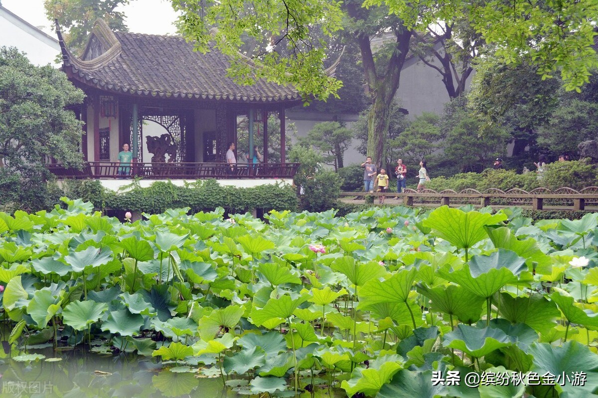 苏州一日游攻略自驾游去哪里玩好,苏州一日游最佳路线国庆