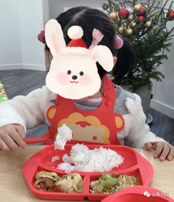 好消息上海,上海浦东托育培训班