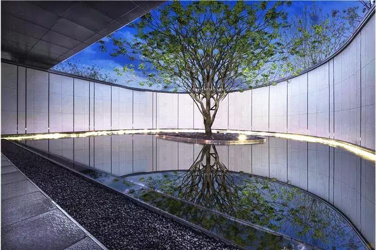 当景观遇上设计,当景观植物遇见灯光